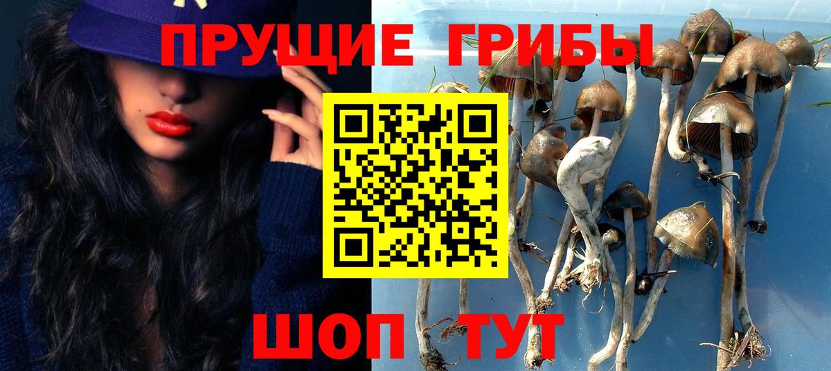 Галлюциногенные грибы ЛСД  что такое наркотик  Вход с VPN  Ессентуки  Галлюциногенные грибы Psilocybe 