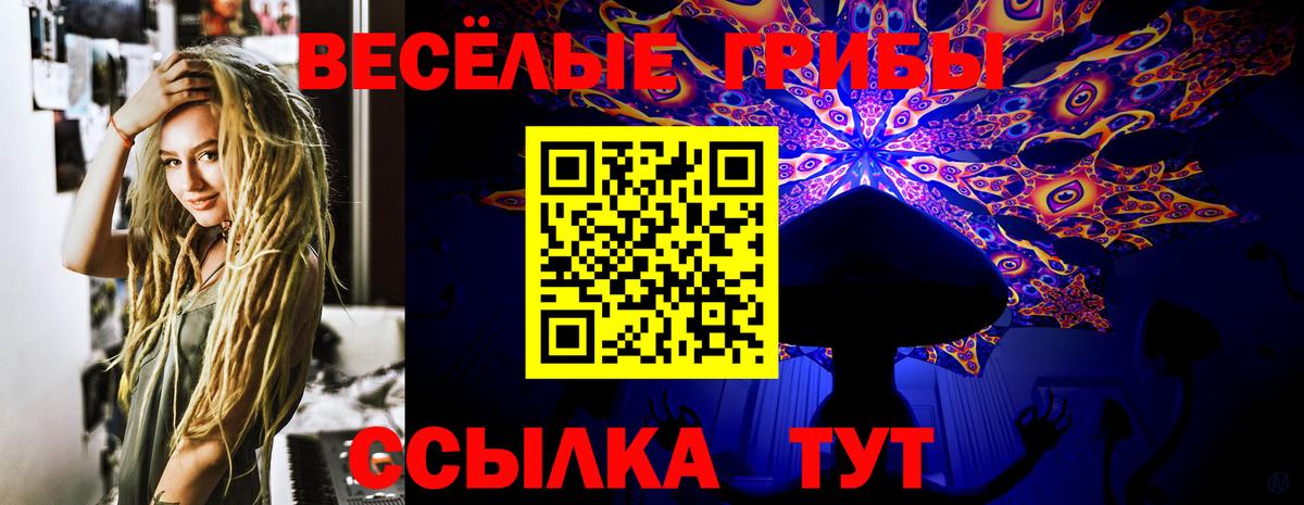 Псилоцибиновые грибы MAGIC MUSHROOMS Ессентуки